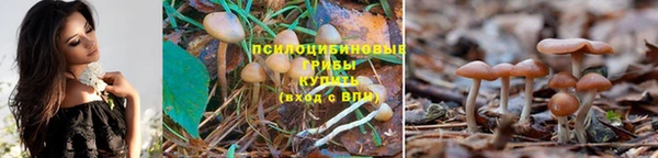 герыч Белокуриха