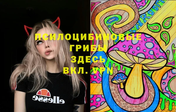 герыч Белокуриха