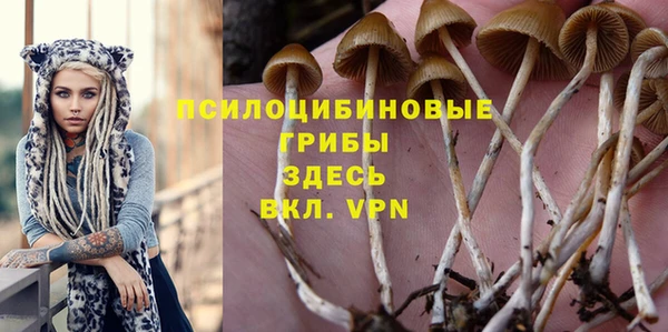 гашик Беломорск
