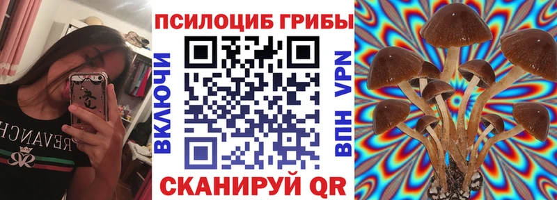 Псилоцибиновые грибы мухоморы Воркута
