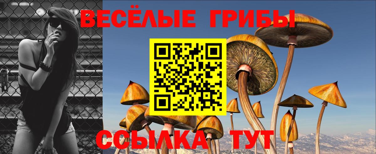 Воркута  Псилоцибиновые грибы GOLDEN TEACHER  Вход с VPN  Галлюциногенные грибы Magic Shrooms 